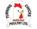 Turning Chicks Poultry Limited 